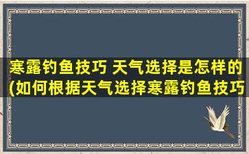 寒露钓鱼技巧 天气选择是怎样的(如何根据天气选择寒露钓鱼技巧？)